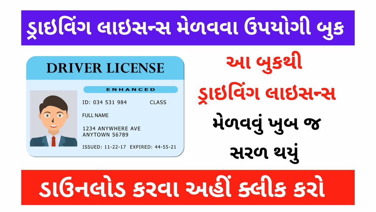 Driving licence book