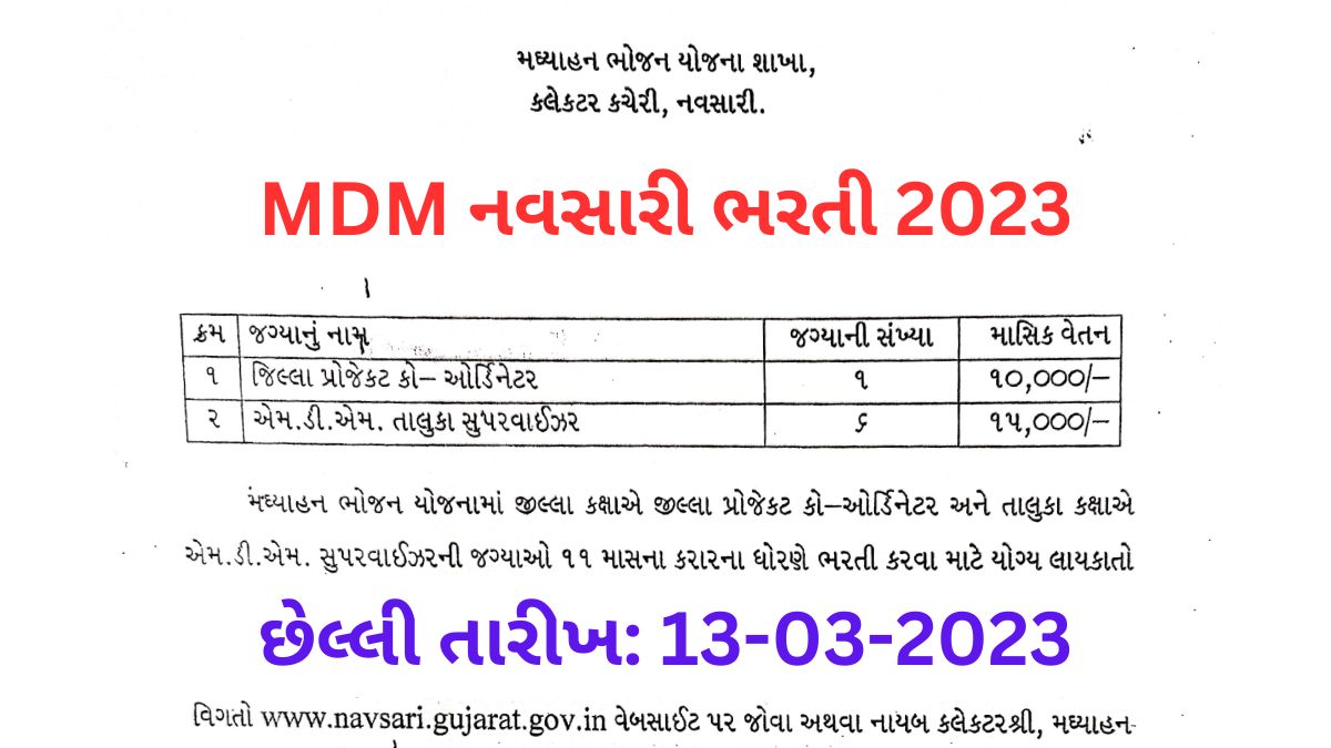 MDM Navsari Recruitment 2023