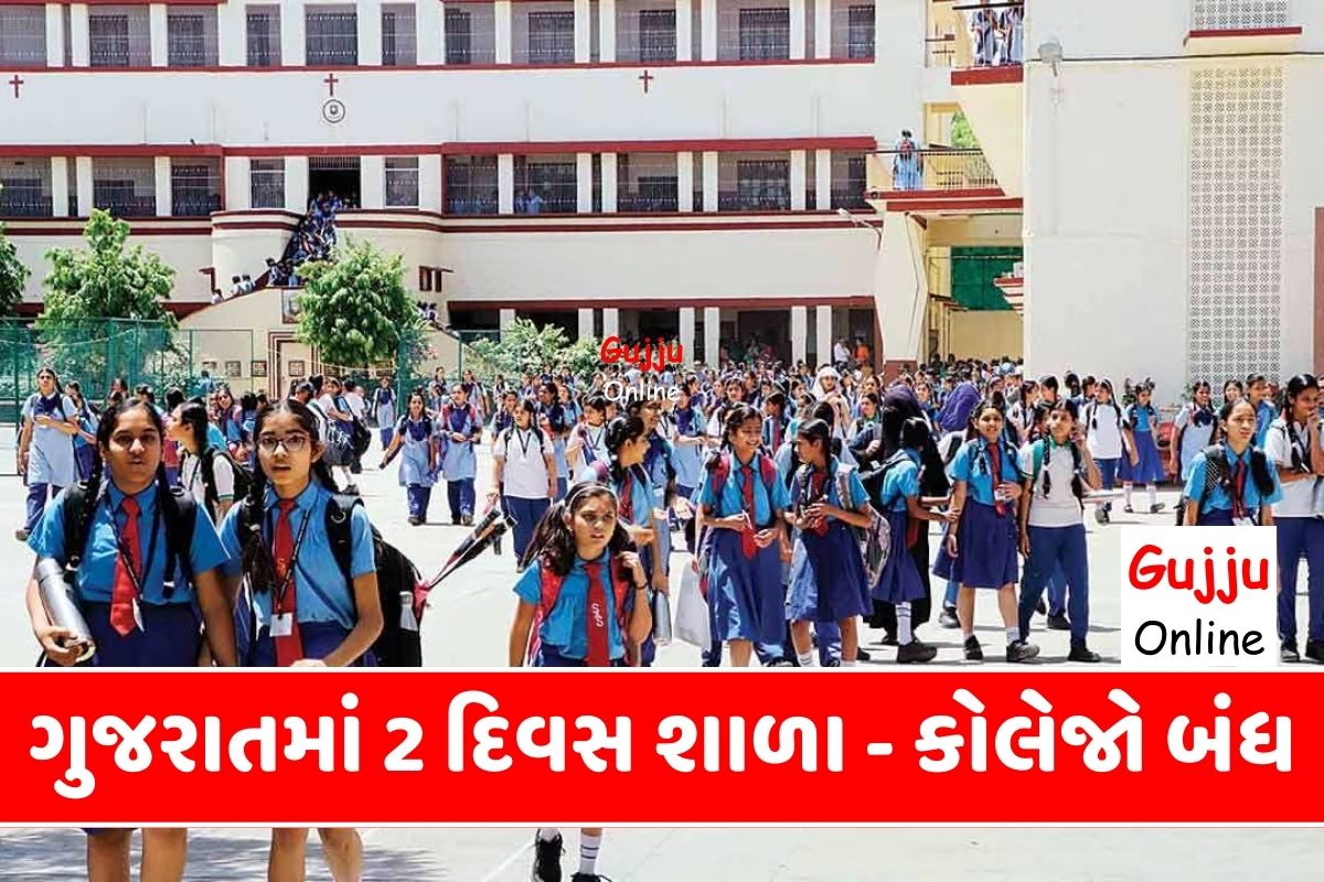 ગુજરાતમાં 2 દિવસ શાળા - કોલેજો બંધ