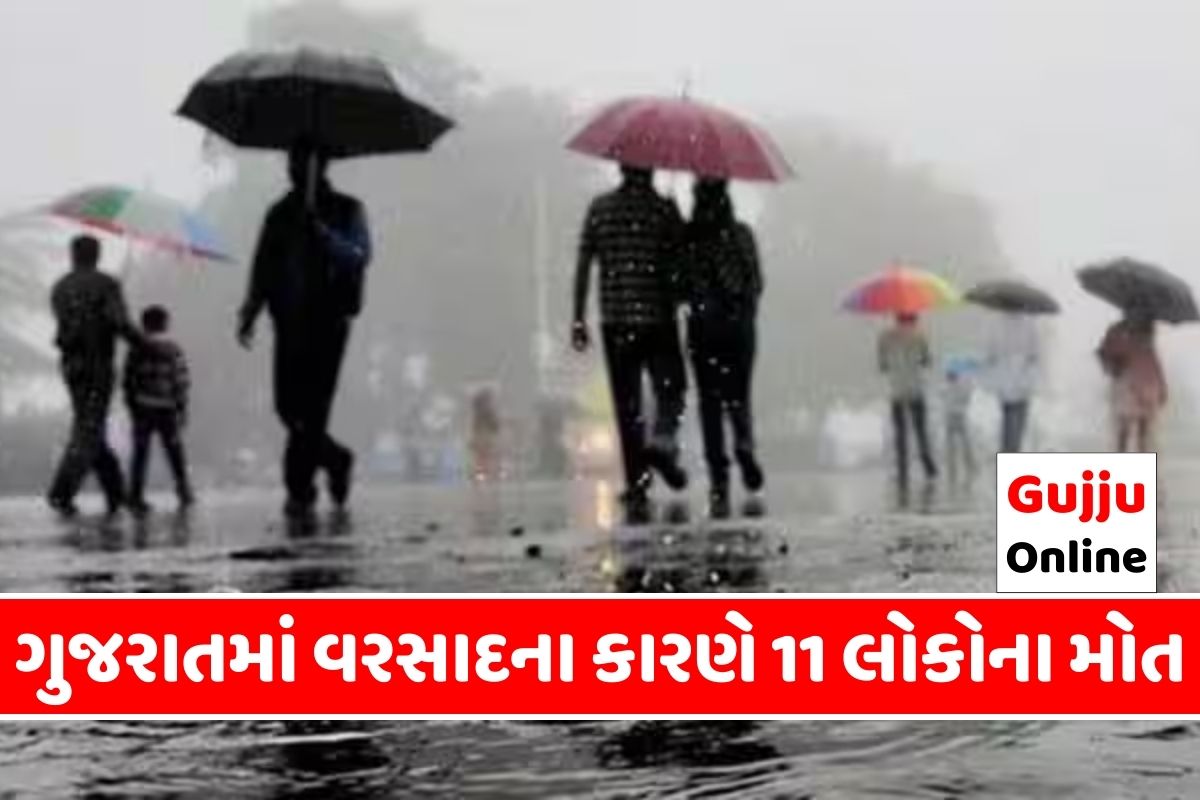 ગુજરાતમાં વરસાદના કારણે 11 લોકોના મોત