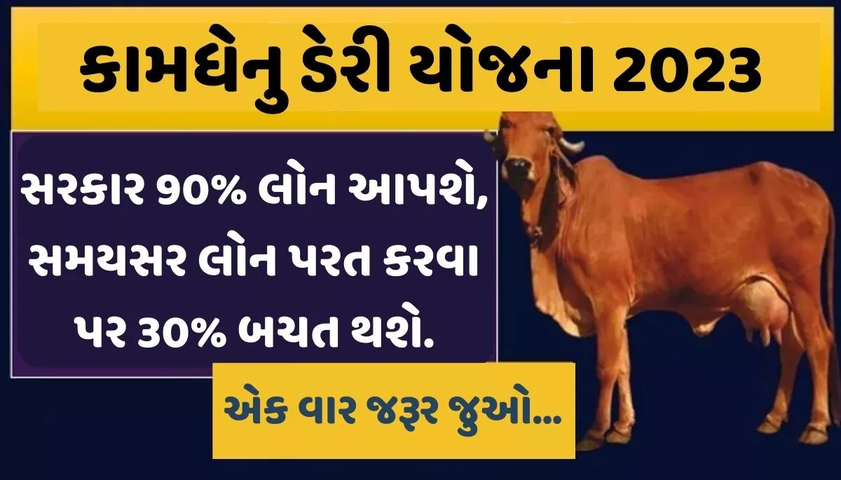 Kamdhenu Dairy Scheme 2023। કામધેનુ ડેરી યોજના 2023