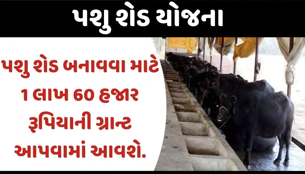 Pashu Shed Scheme 2023 । Pashu Shed Scheme 2023