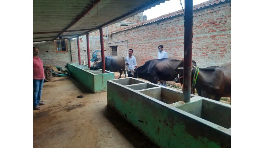 Pashu Shed Scheme 2023