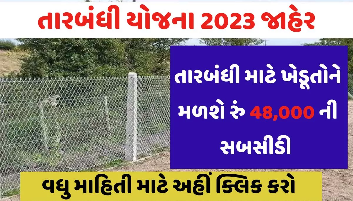 Tarbandhi Yojana 2023। તારબંધી યોજના 2023