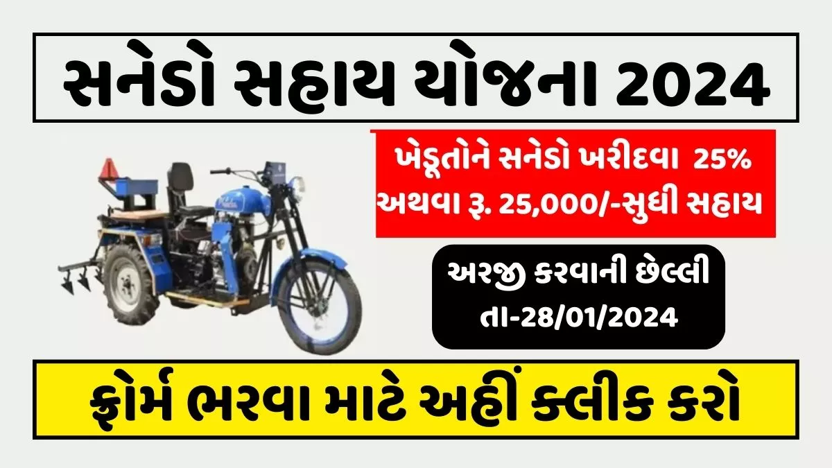 Sanedo Sahay Gujarat 2024